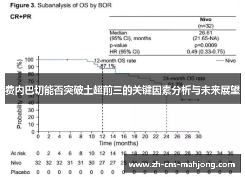 费内巴切能否突破土超前三的关键因素分析与未来展望 费内巴切能否突破土超前三的关键因素分析与未来展望